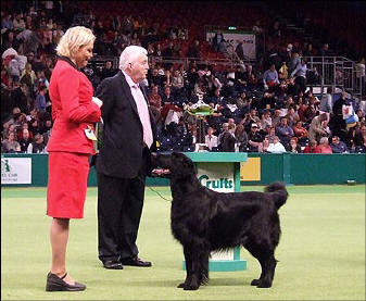 Crufts 2007: First day, Thursday